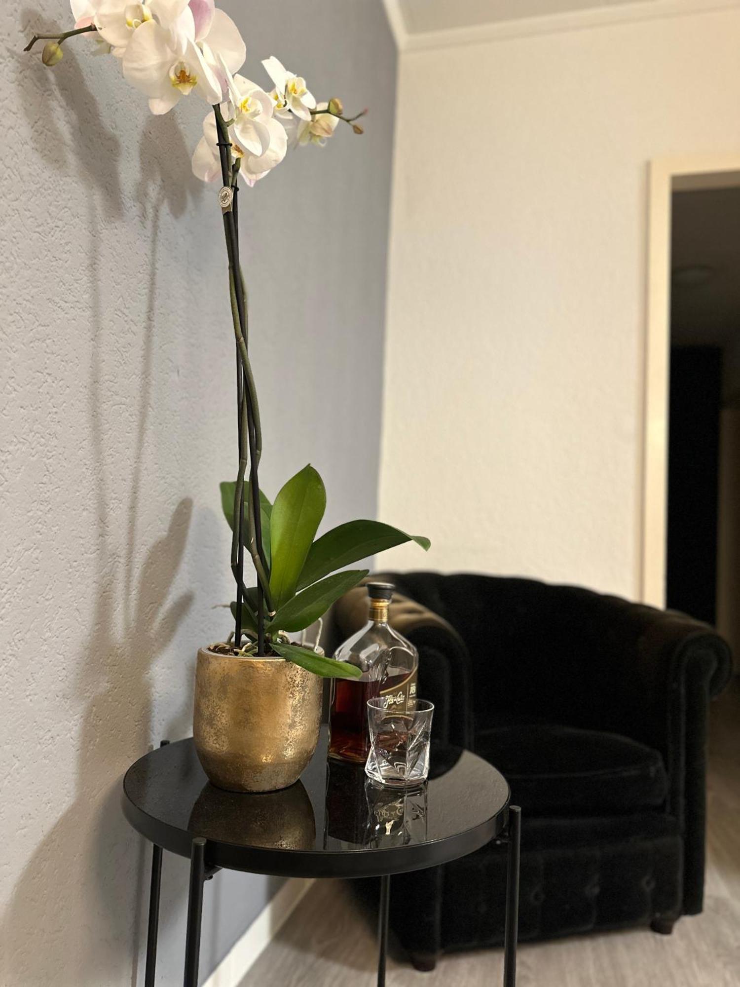 Lindo Apartamento En El Centro De Lausanne Eksteriør billede