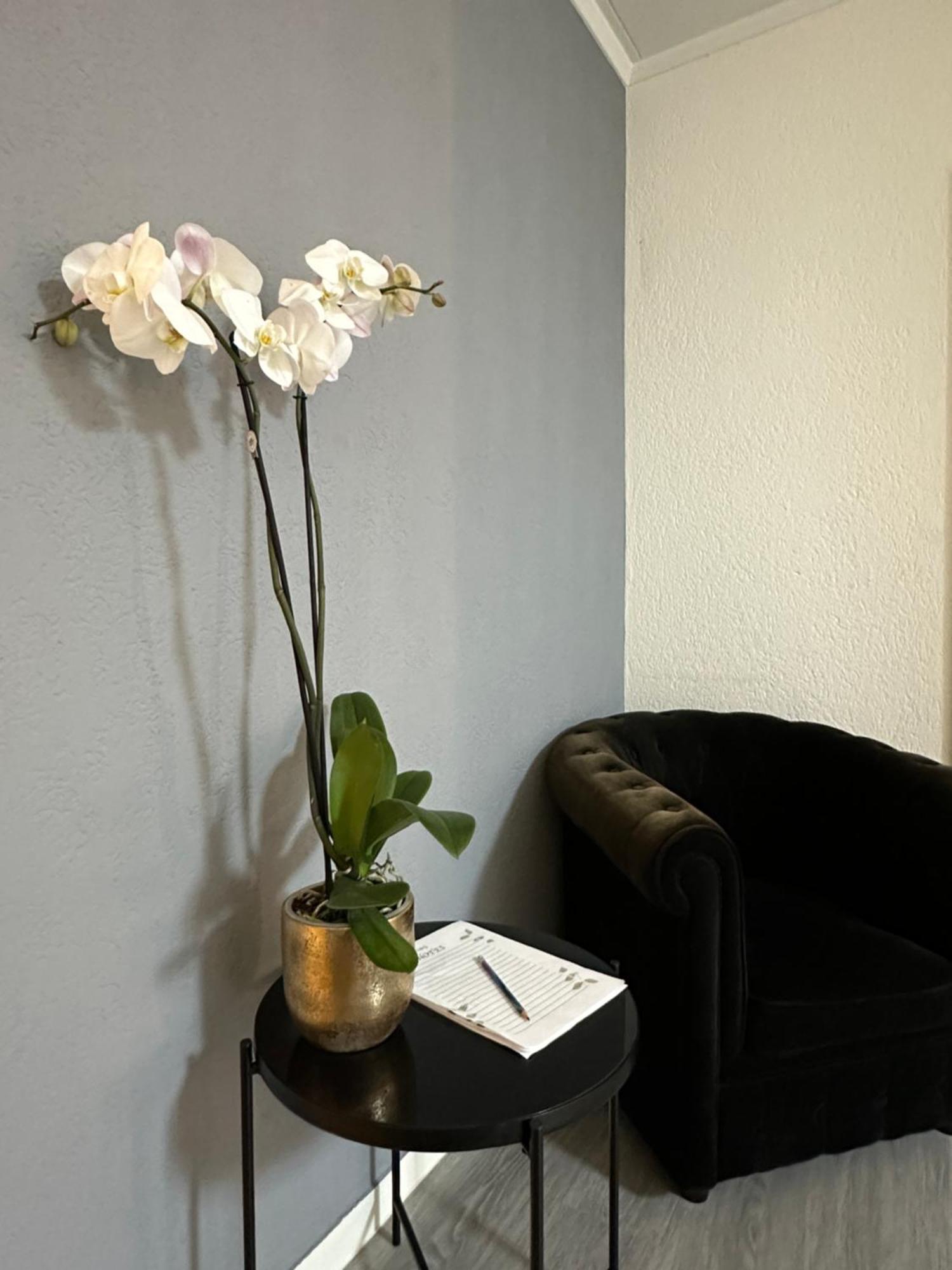 Lindo Apartamento En El Centro De Lausanne Eksteriør billede